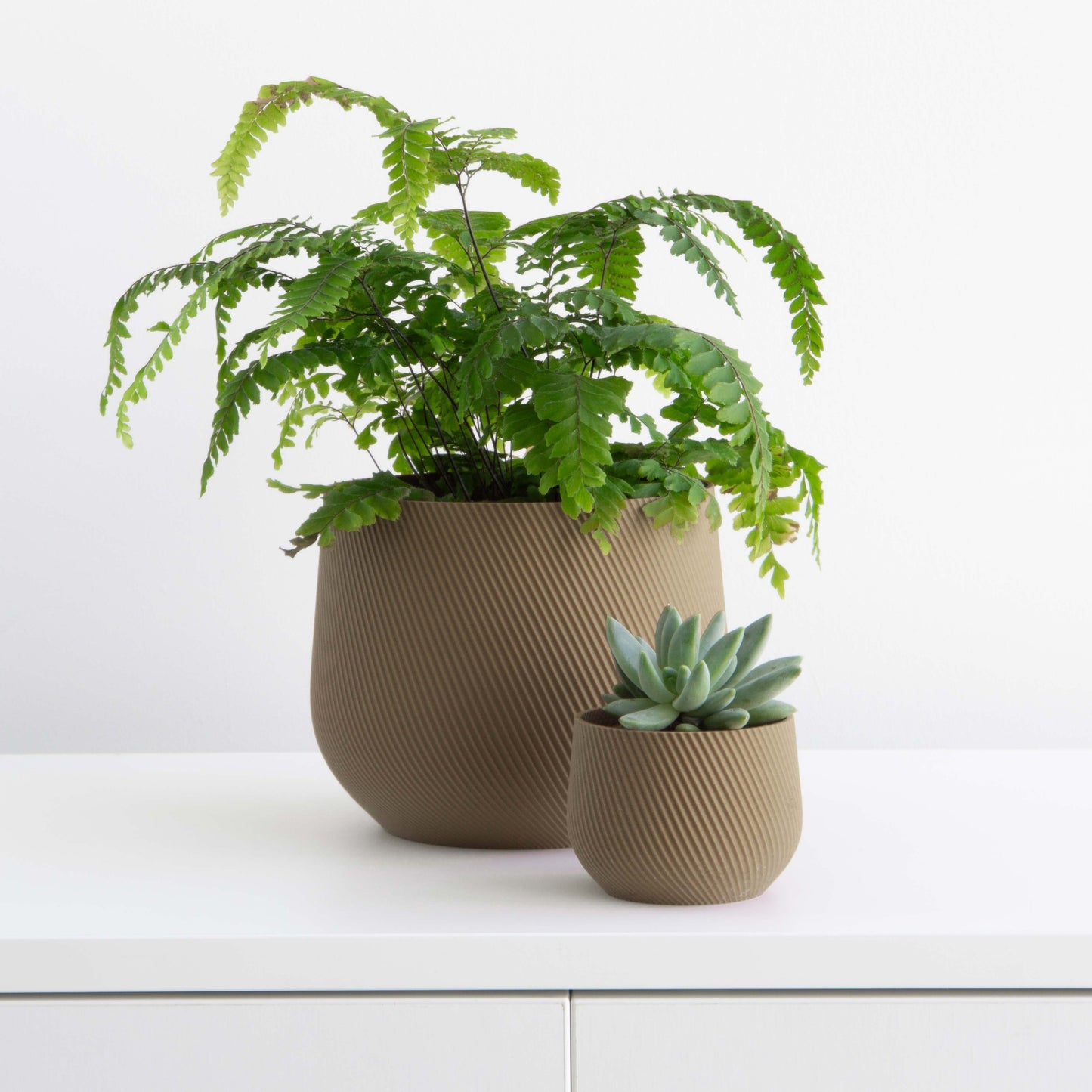 Juniper Planter