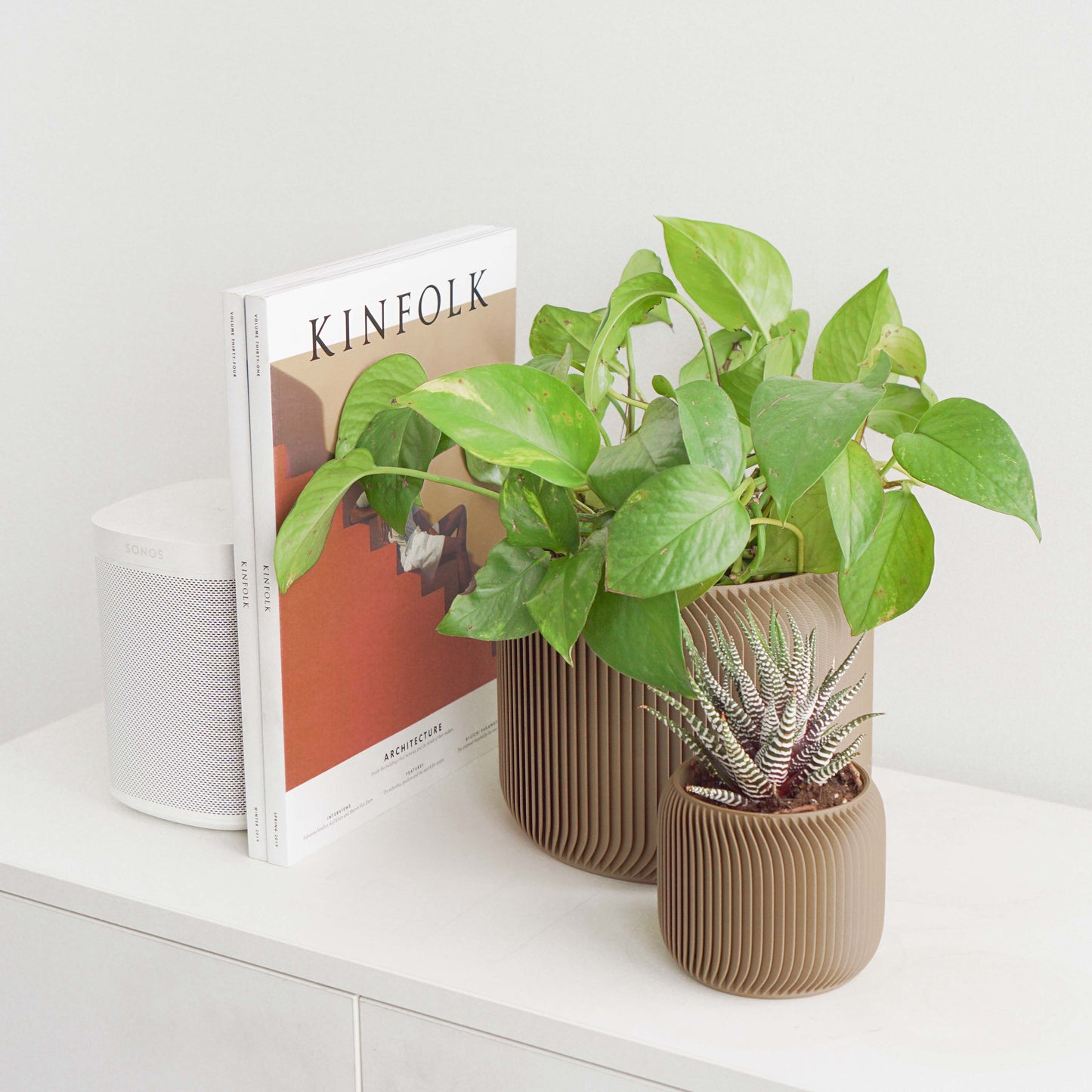 Pine Planter