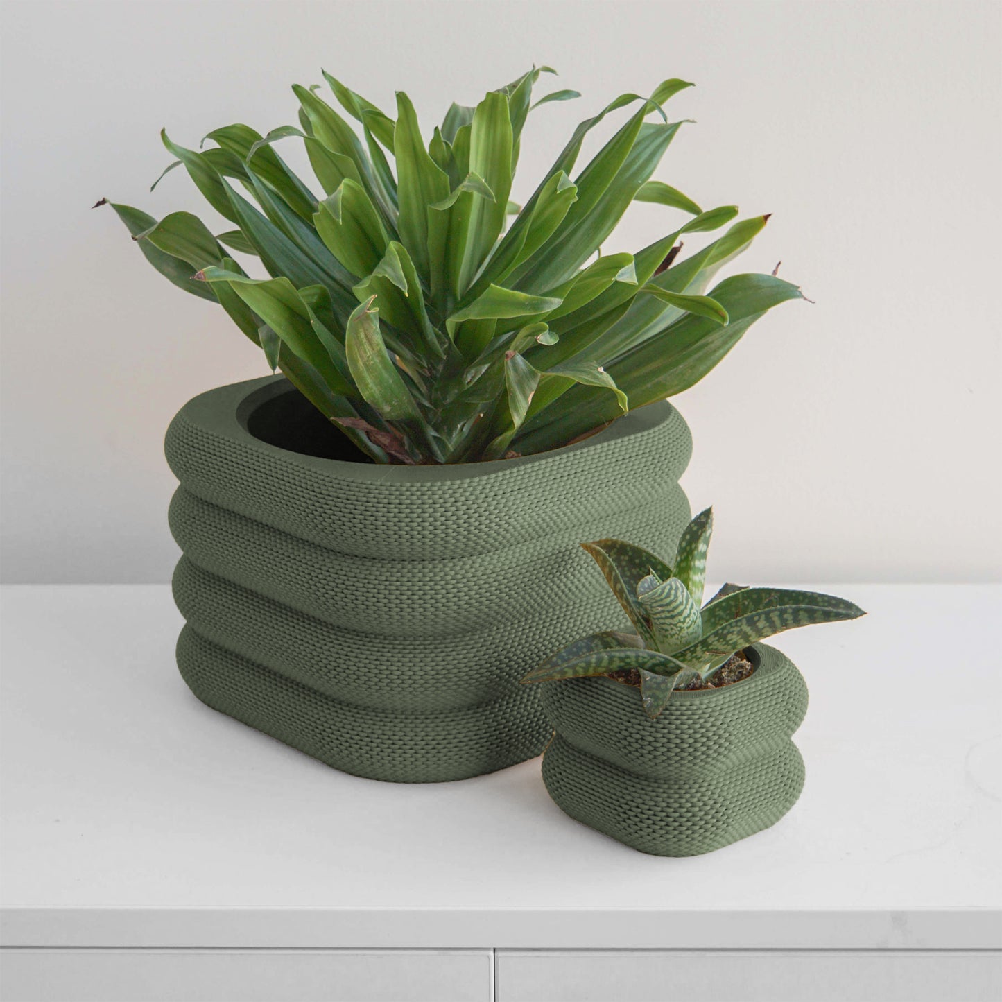 Yew Planter