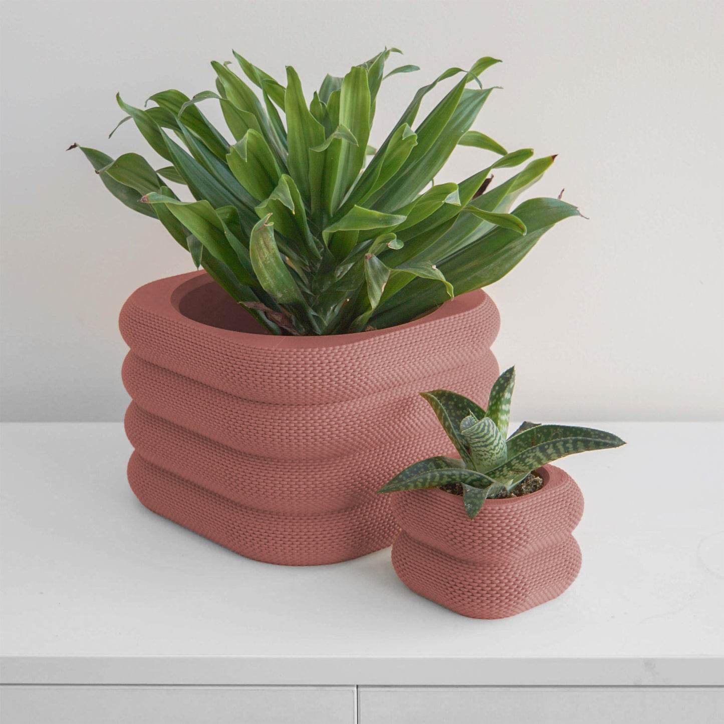 Yew Planter