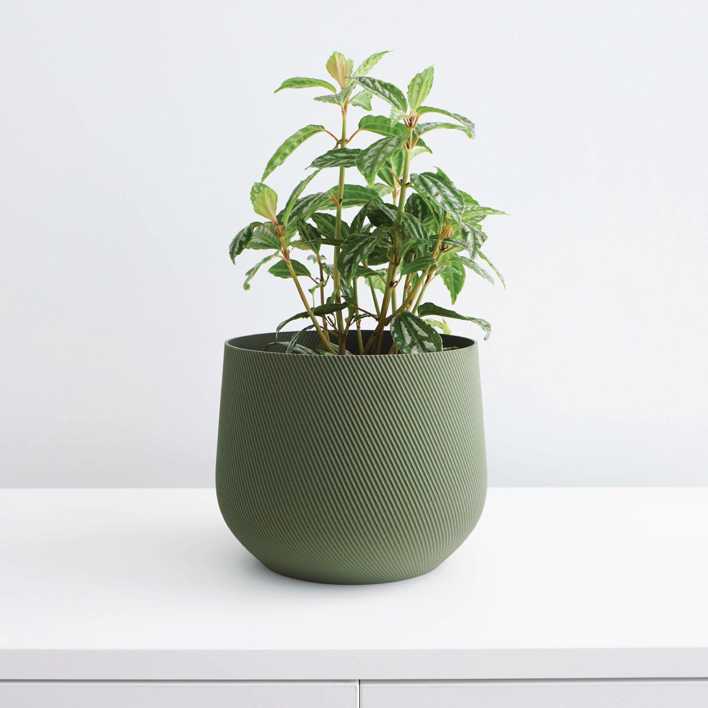 Juniper Planter