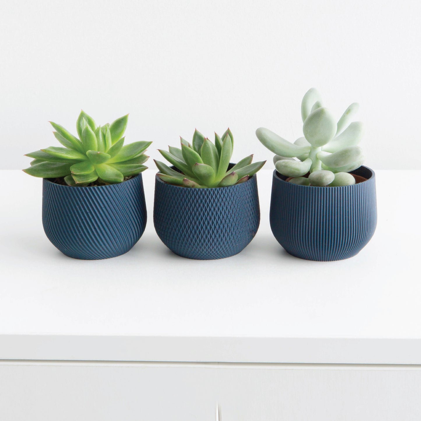 Mini Planter Set