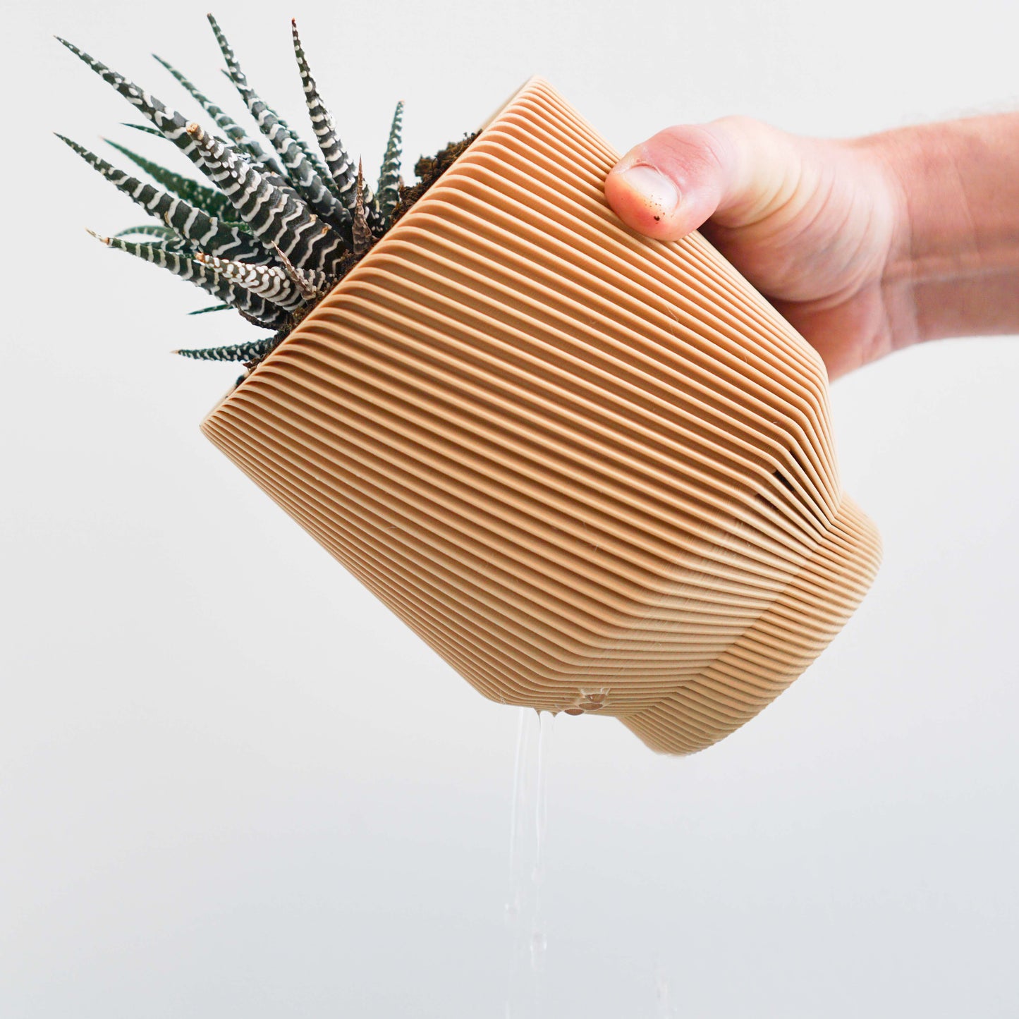 Spruce Planter