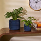 Cypress Planter