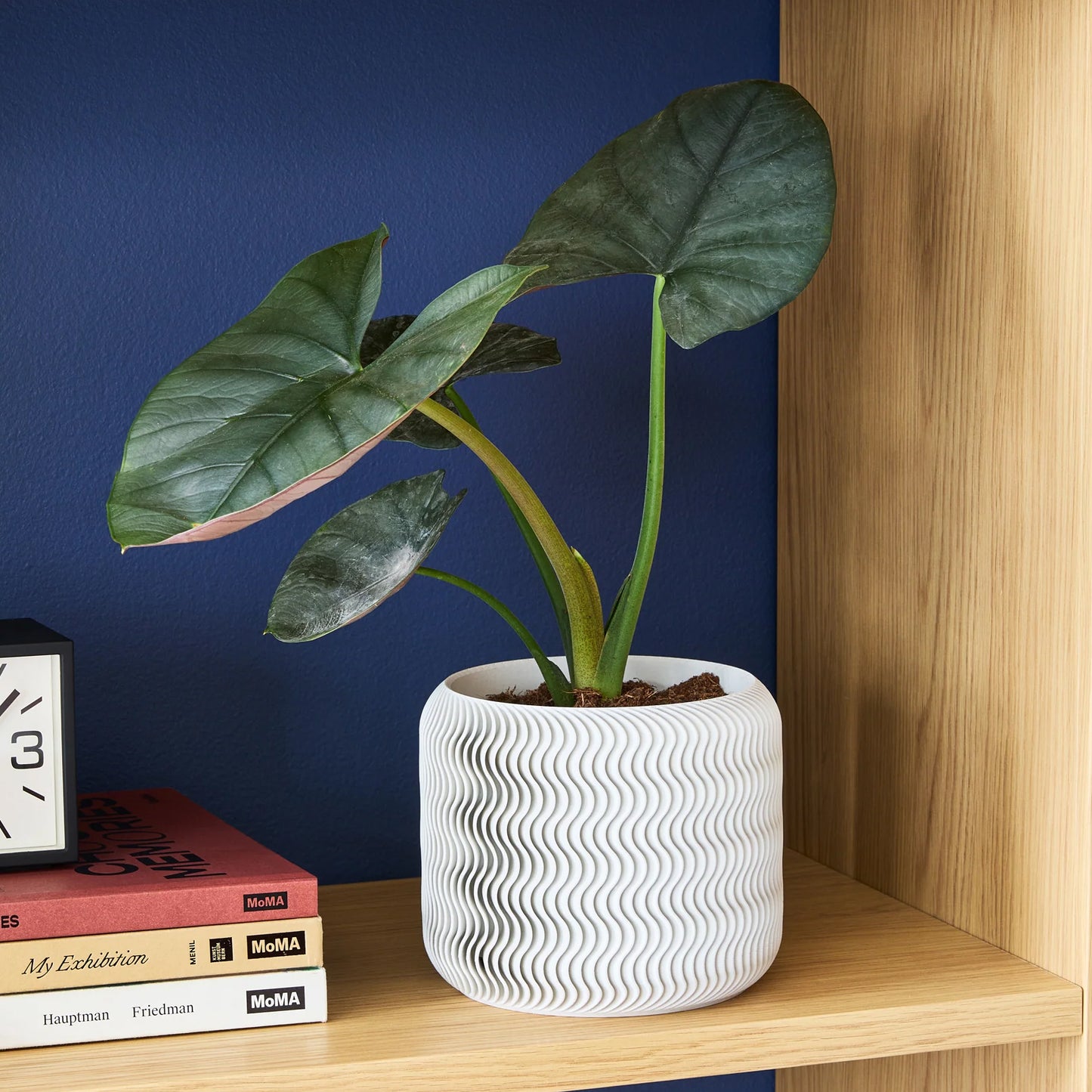 Cypress Planter