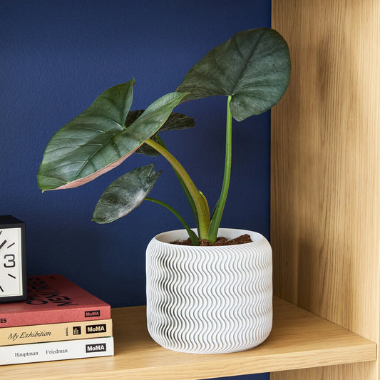 Cypress Planter