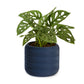 Cypress Planter