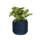 Cypress Planter