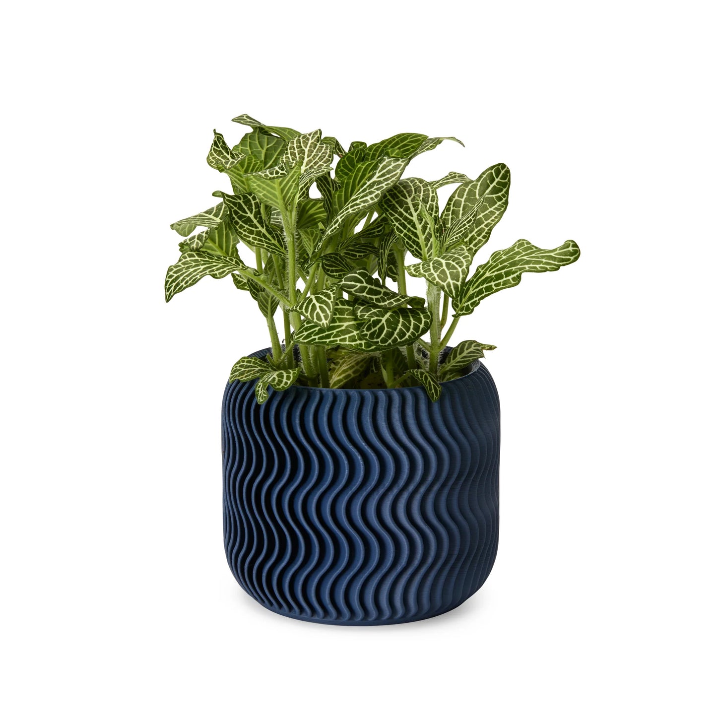 Cypress Planter