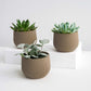 Mini Planter Set