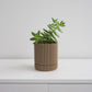 Hemlock Planter