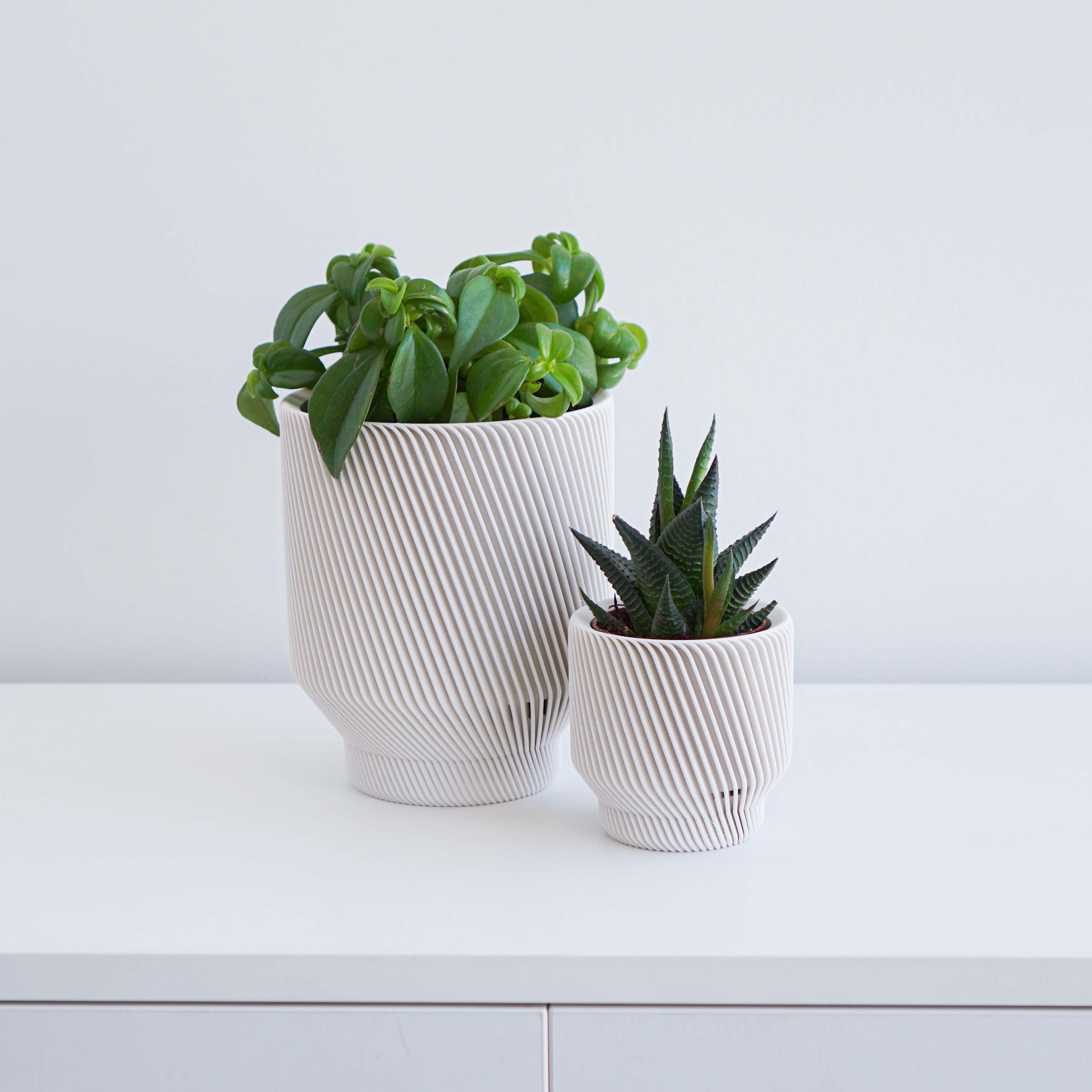 conifer plant pots Spruce Planter White / 6"